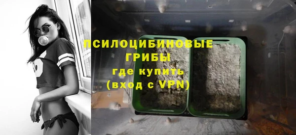 apvp Абаза
